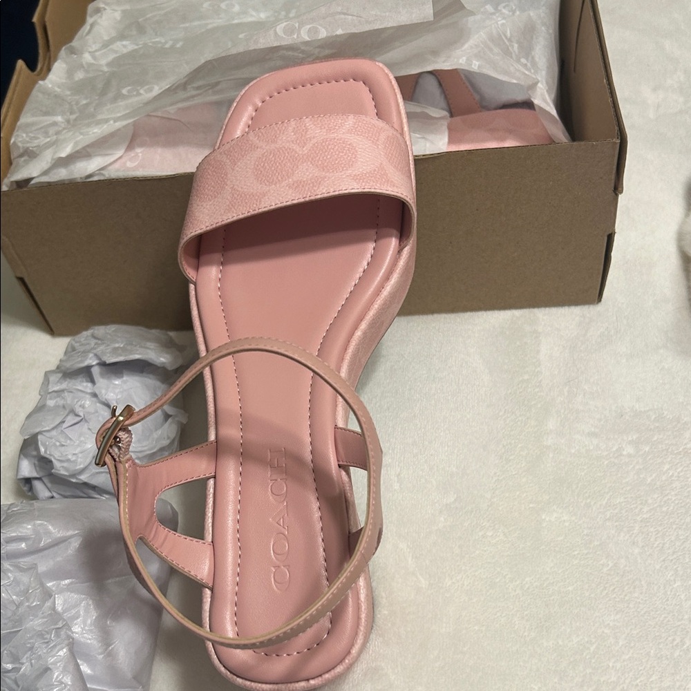 Coach Blush Pink Women's Sandals